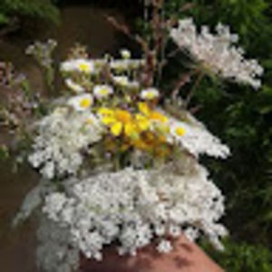 Meet your Posher, 《aj》